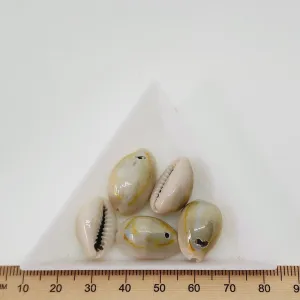 Cowrie Shells (100 grams) - Blue, Cream Beige, Orange