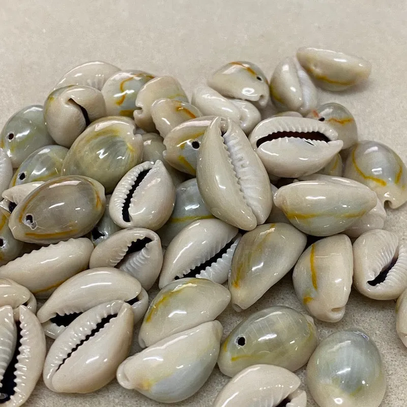 Cowrie Shells (100 grams) - Blue, Cream Beige, Orange
