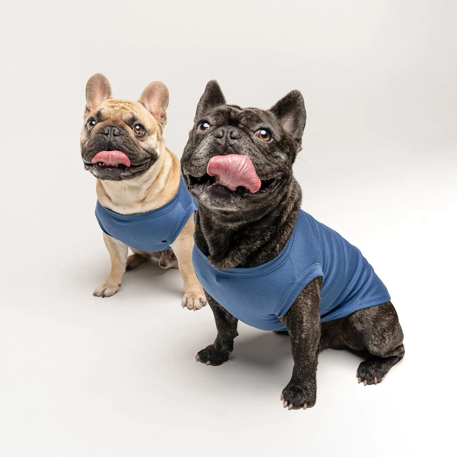 Happy Birthday Daddy Dog Tee Shirt | Sleeveless | Pawty | Party Theme | Celebration Supplies | Photoshoot (Royal Blue, Large 170)