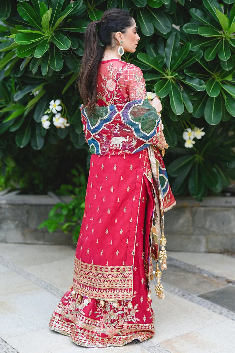 Mohsin Naveed Ranjha Zarlish Wedding Collection – Naseebo Lal